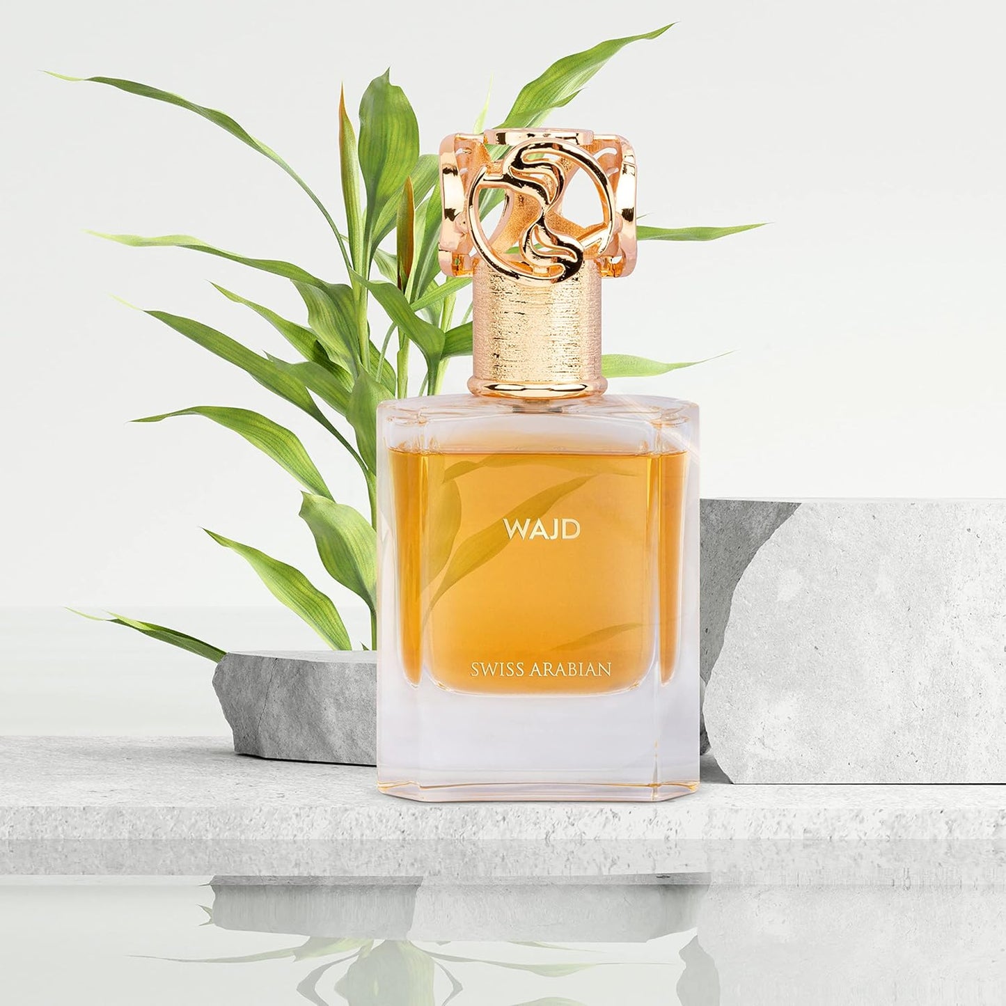 Wajd - Luxury Products from Dubai - Long Lasting, Addictive Personal EDP Spray Fragrance - Seductive Signature Aroma - 1.7 Oz